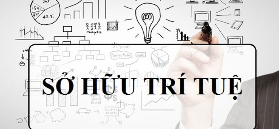 Lưu ý khi nhập khẩu hàng hóa được bảo hộ nhãn hiệu